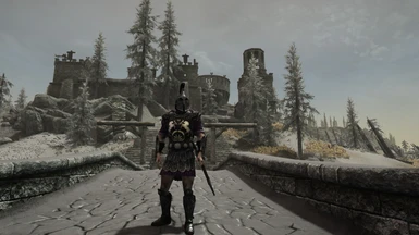 Armor (Fort in background is NOT included)