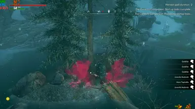 Harvest fishies~!