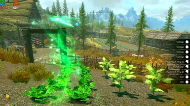 v1.1 First-Person View
