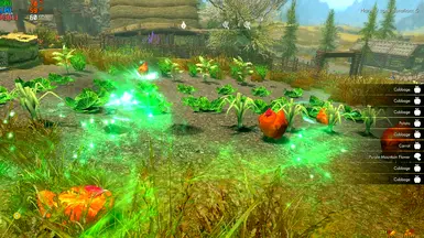v1.1 First-Person View