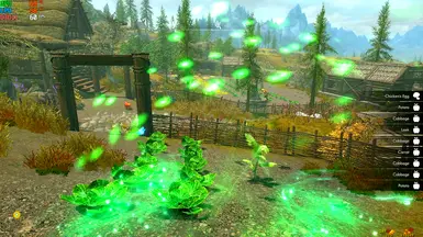 v1.1 First-Person View