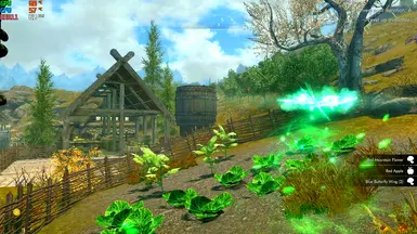 v1.1 First-Person View