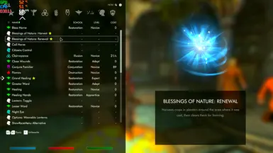 v1.1 Spell Description