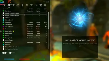 v1.1 Spell Description