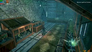 v1.1 Renew Spell Improved Performance (Safehouse Patio Dragonborn Museum)