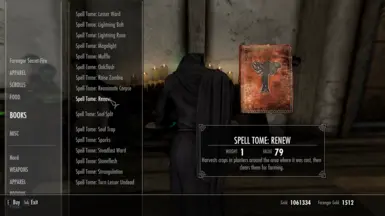 v1.4 Tomes can be bought from court wizards