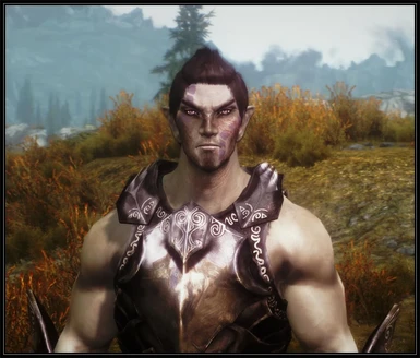 Fauxhawk for Male elves will be added in update