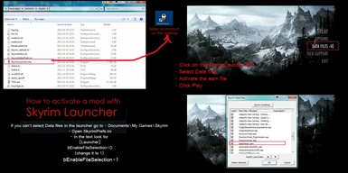 How to activate the mod in SkyrimLauncher