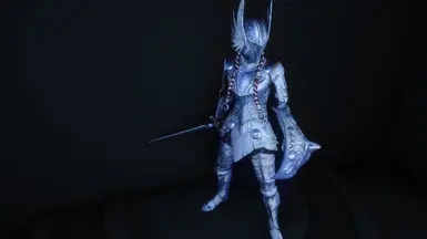 Valkyrie Armor 3