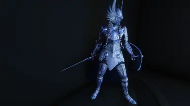 Valkyrie Armor 4