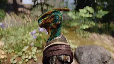 Parasaur Crest Short - Male