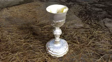 Silver Version