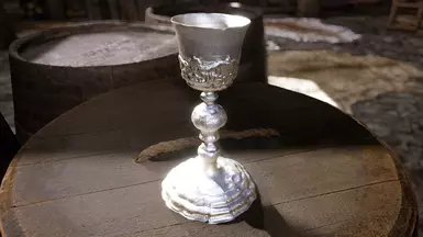 Silver Version