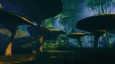 Mushroom Forest 02