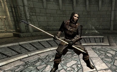 Dawnguard Light Chainmail and Trouncer.