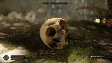 The Best Skull 