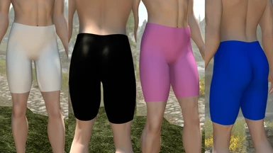 Shorts with 4 color variations added in ver.1.2.