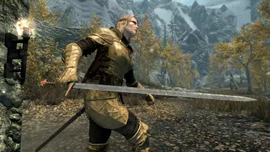 Meridia's Knight Sword, Wielded by his paladin