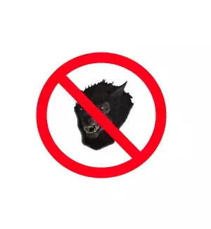 No more werewolf hat