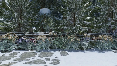 Snowy plants and trees, and snowy fence