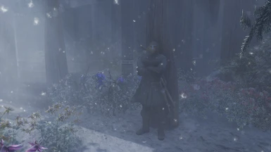 Freezing his toes off in Dawnstar but his plants are pretty