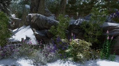 No patch.. snowy rocks and a mix of snowy/not snowy plants