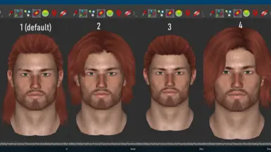 optional hairs for Brynjolf refined