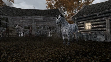 White Spotted to Riften