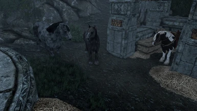 Black and Grey Spotted to Markarth