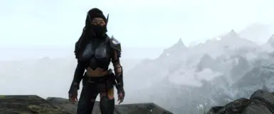 Dawnguard Pauldrons