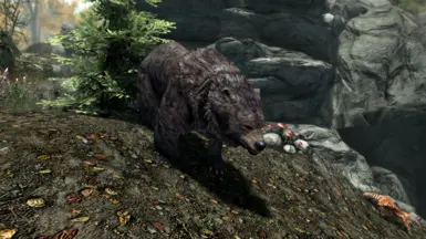 Random picture of a random bear being random in a random place randomly