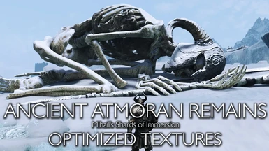 Ancient Atmoran Remains - My optimized textures SE
