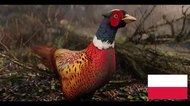 Ring-necked Pheasants - Mihail Monsters and Animals - Polish Translation