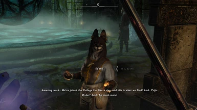 College of Winterhold Commentary