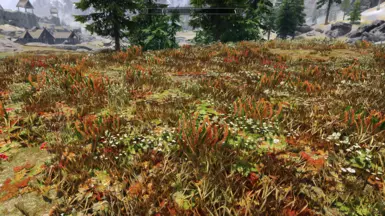 Tundra grass