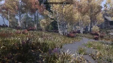 Rift grass