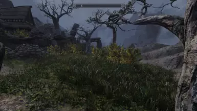 Reach grass
