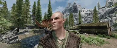 Simply Skin - Male Texture Replacer at Skyrim Special Edition Nexus ...