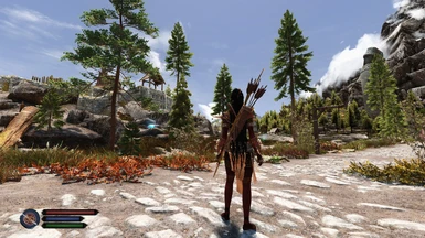 Subtle Compass - Standalone or Paired With True Hud at Skyrim Special ...