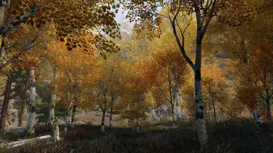 Fabled Aspens Ablaze at Skyrim Special Edition Nexus - Mods and Community