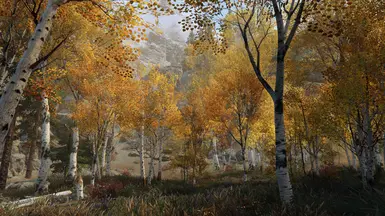 Fabled Aspens Ablaze at Skyrim Special Edition Nexus - Mods and Community