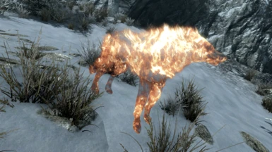 Cendrillion's Summoned Fire Wolf