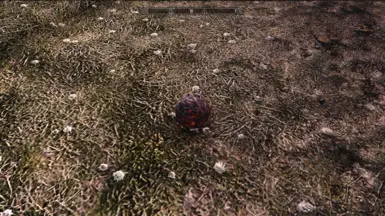 SE test image