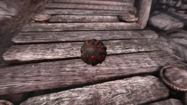 SE test image