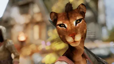 examples - lioness