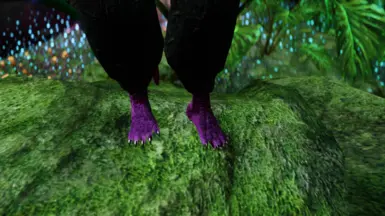 Feet