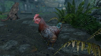 Skyrim Special Edition - Chicken