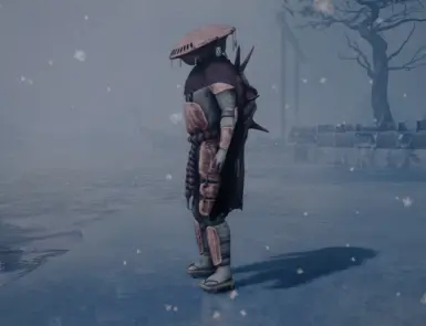 Chitin Heavy Armor