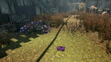Ogrim Spell books just on the ground