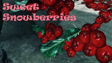 Sweet Snowberries